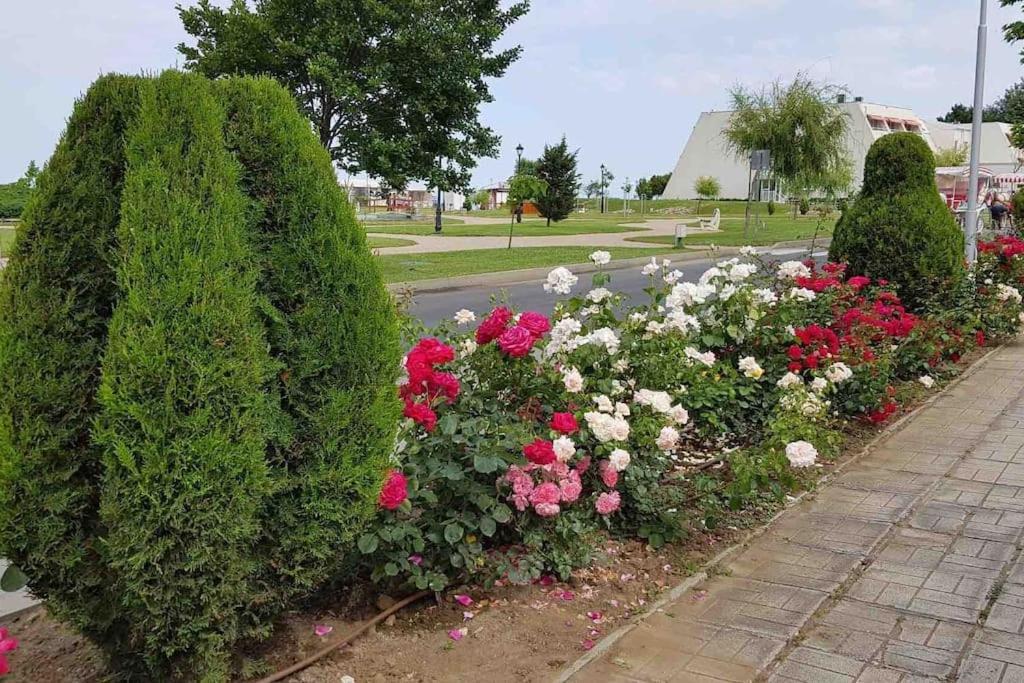 Апартамент Ели Obzor Extérieur photo
